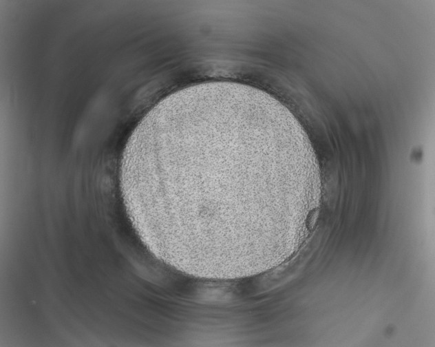 X0000116630175201001081300