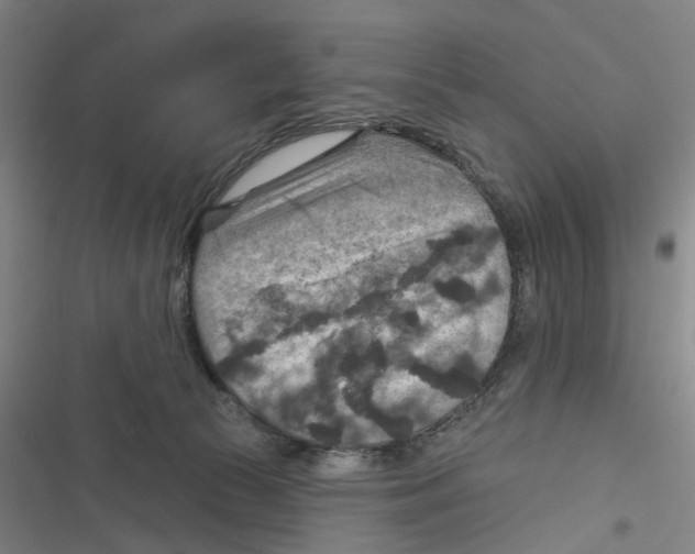 X0000116630177201001081300