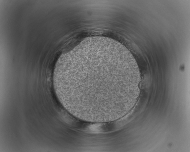 X0000116630178201001081300