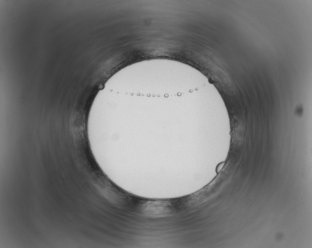 X0000116630179201001081300