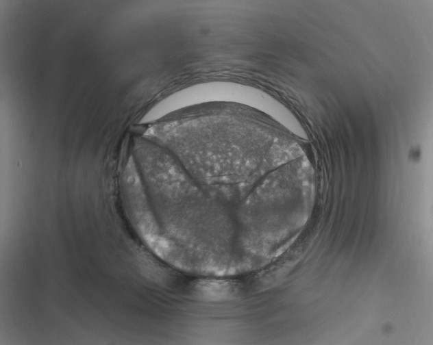 X0000116630181201001081300
