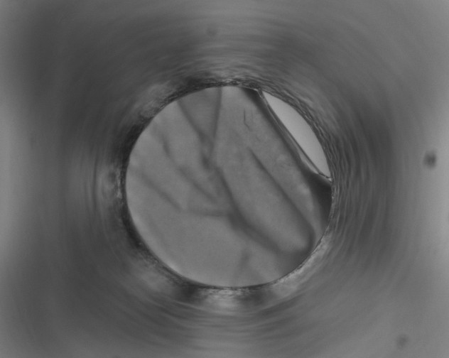 X0000116630182201001081300