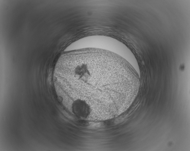 X0000116630185201001081300