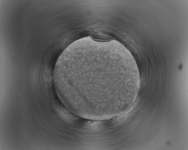 X0000116630186201001081300