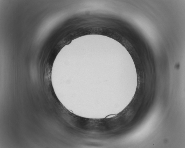 X0000116630190201001081300
