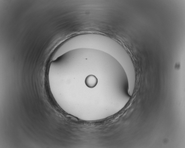 X0000116630194201001081300