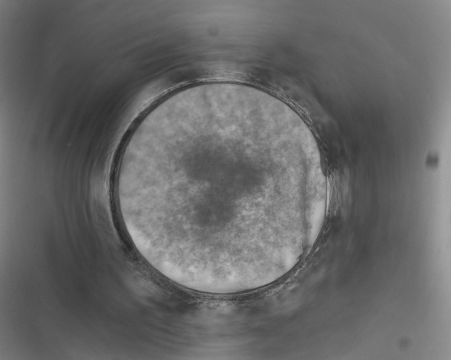 X0000116630195201001081300