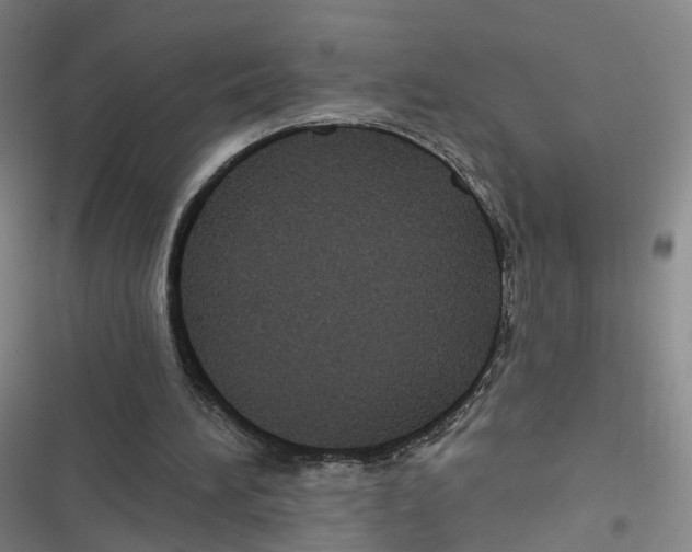 X0000116630196201001081259