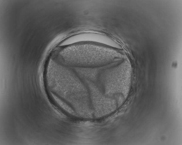 X0000116630197201001081259