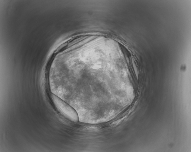 X0000116630198201001081259