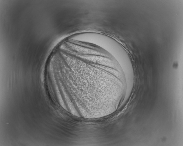 X0000116630200201001081259