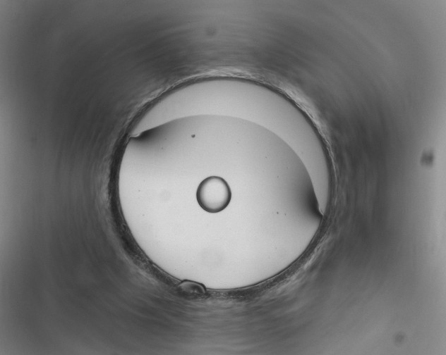 X0000116630201201001081259
