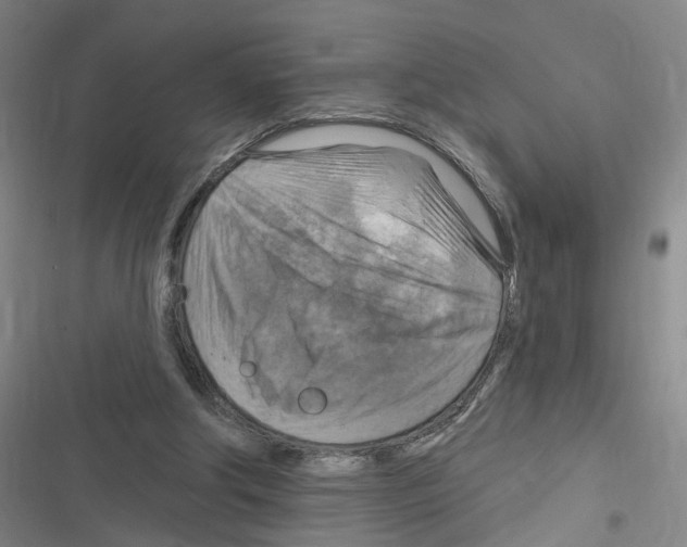 X0000116630202201001081259