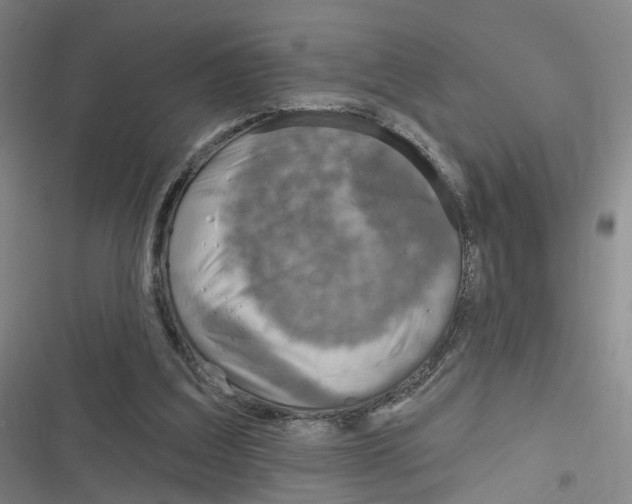 X0000116630203201001081259