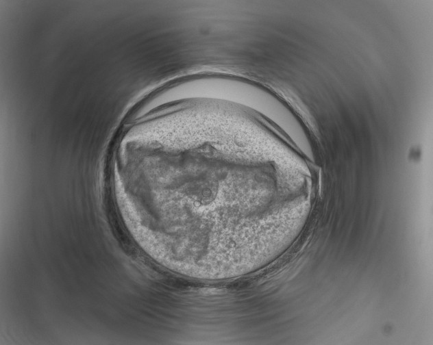 X0000116630204201001081259