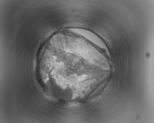 X0000116630206201001081259