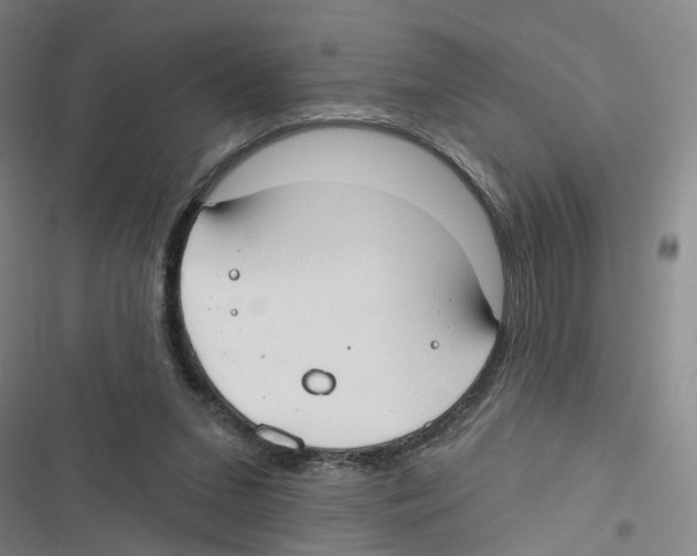 X0000116630207201001081259