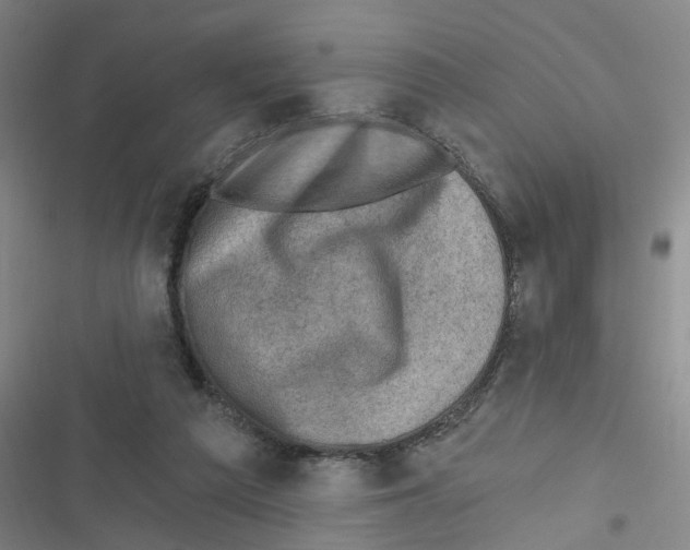 X0000116630209201001081259