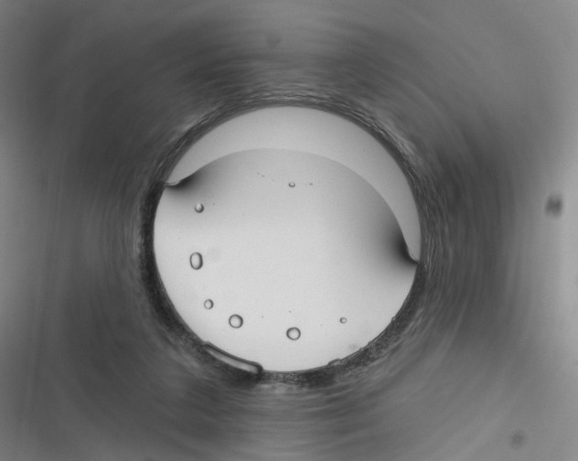 X0000116630211201001081259