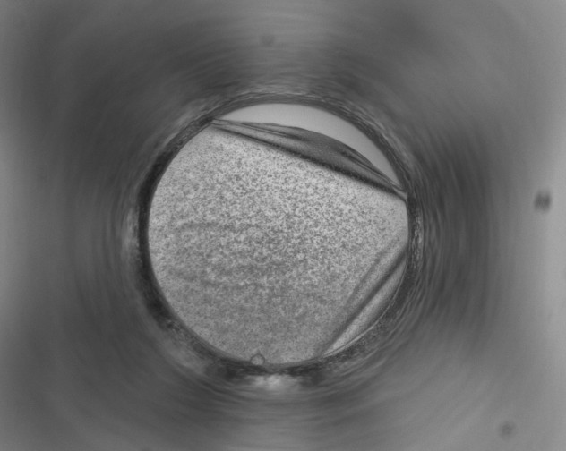 X0000116630212201001081259