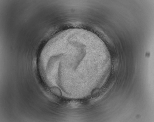 X0000116630213201001081259