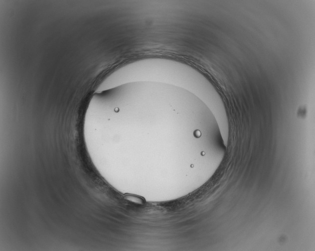 X0000116630215201001081259