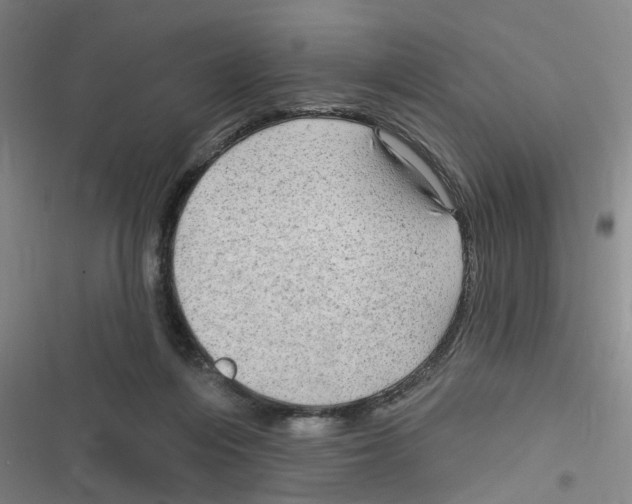 X0000116630216201001081259