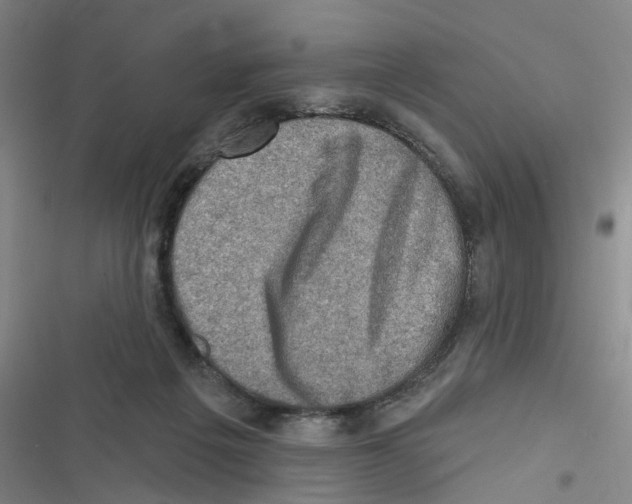 X0000116630217201001081259