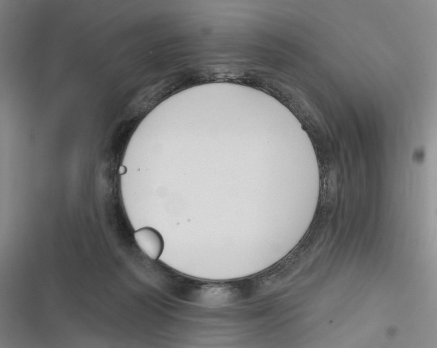 X0000116630218201001081259