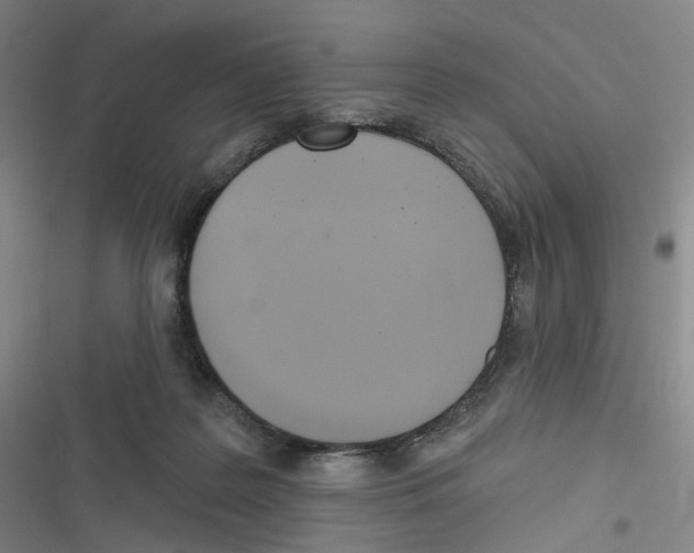 X0000116630219201001081259