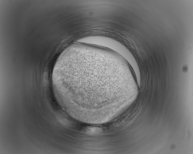 X0000116630220201001081259