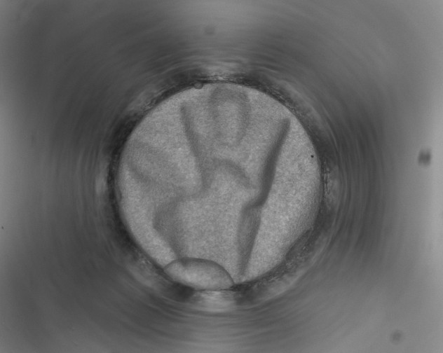 X0000116630221201001081259