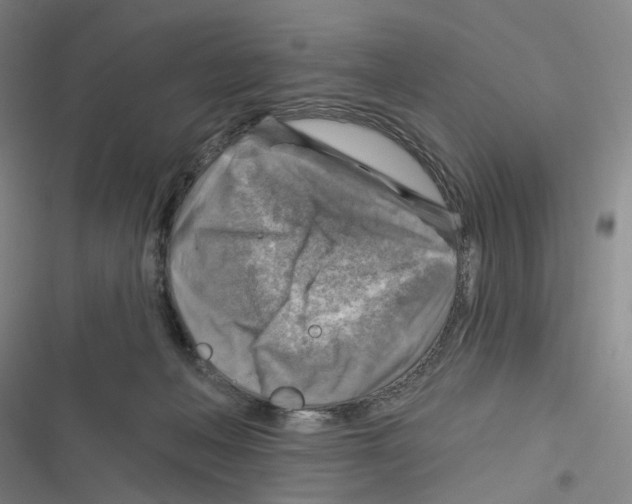 X0000116630222201001081259