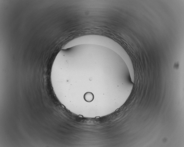 X0000116630223201001081259