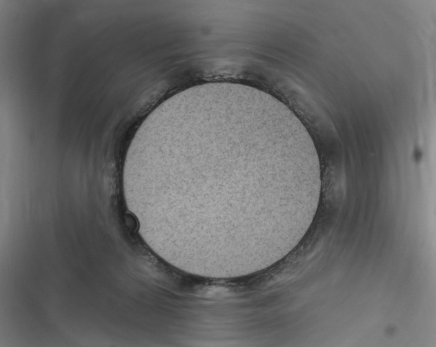 X0000116630224201001081259
