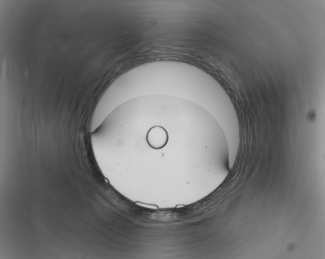 X0000116630225201001081259