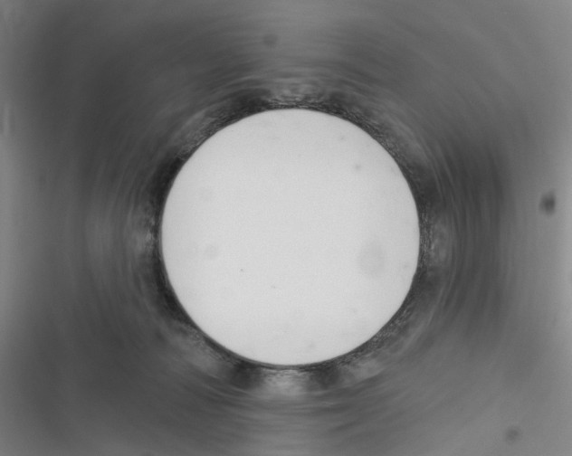 X0000116630226201001081259