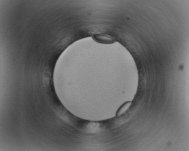 X0000116630227201001081259