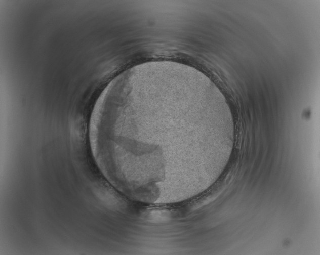 X0000116630228201001081259