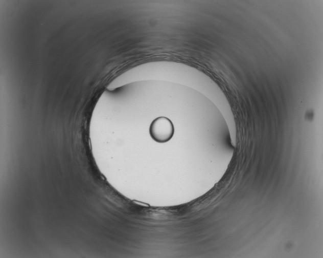 X0000116630229201001081259