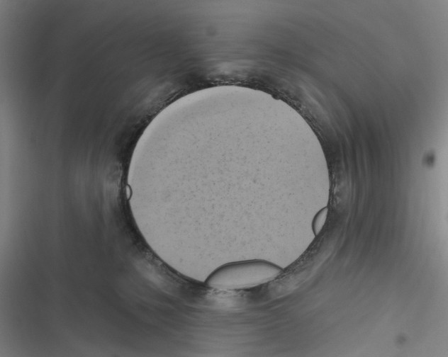 X0000116630231201001081259