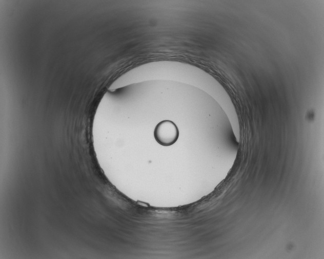 X0000116630233201001081259