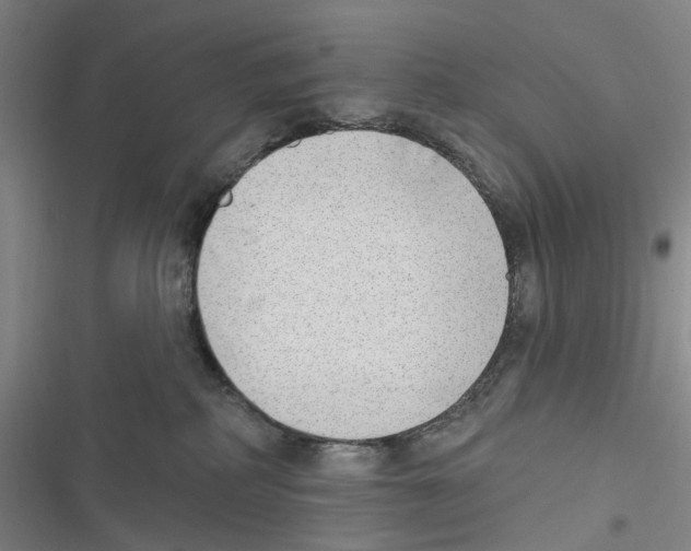 X0000116630234201001081259