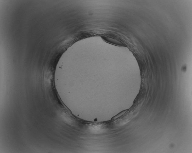 X0000116630235201001081259