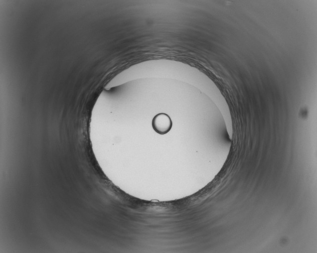 X0000116630236201001081259
