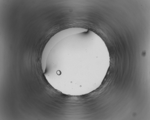 X0000116630237201001081259