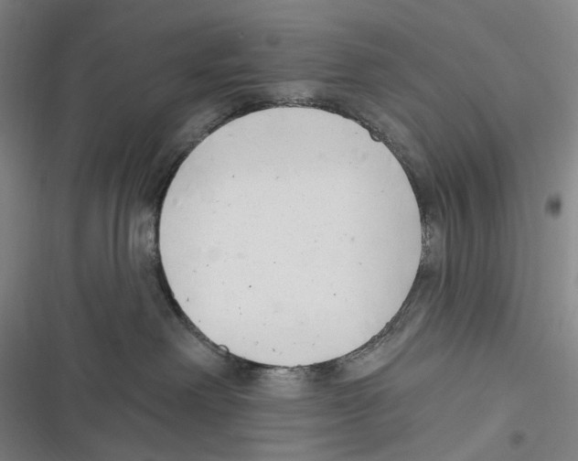X0000116630238201001081259