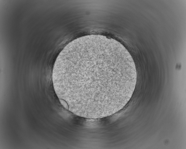 X0000116630240201001081259