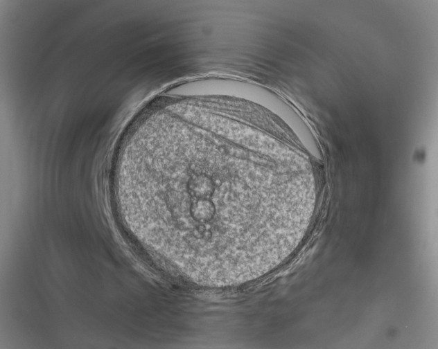 X0000116630241201001081258