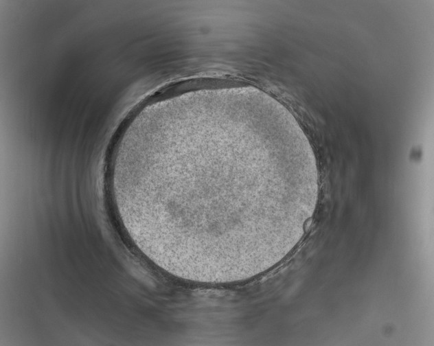 X0000116630242201001081258